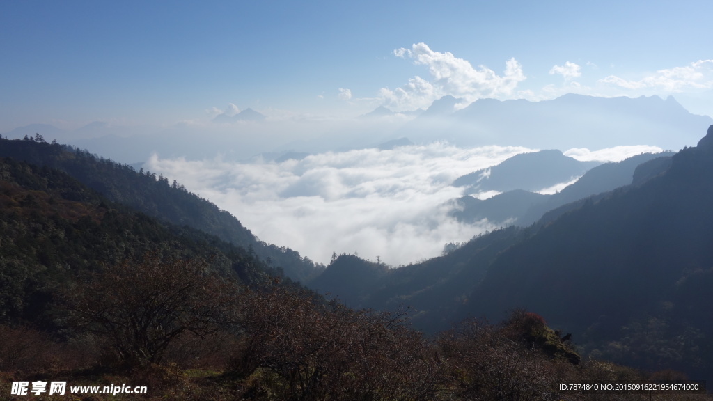 牛背山云海