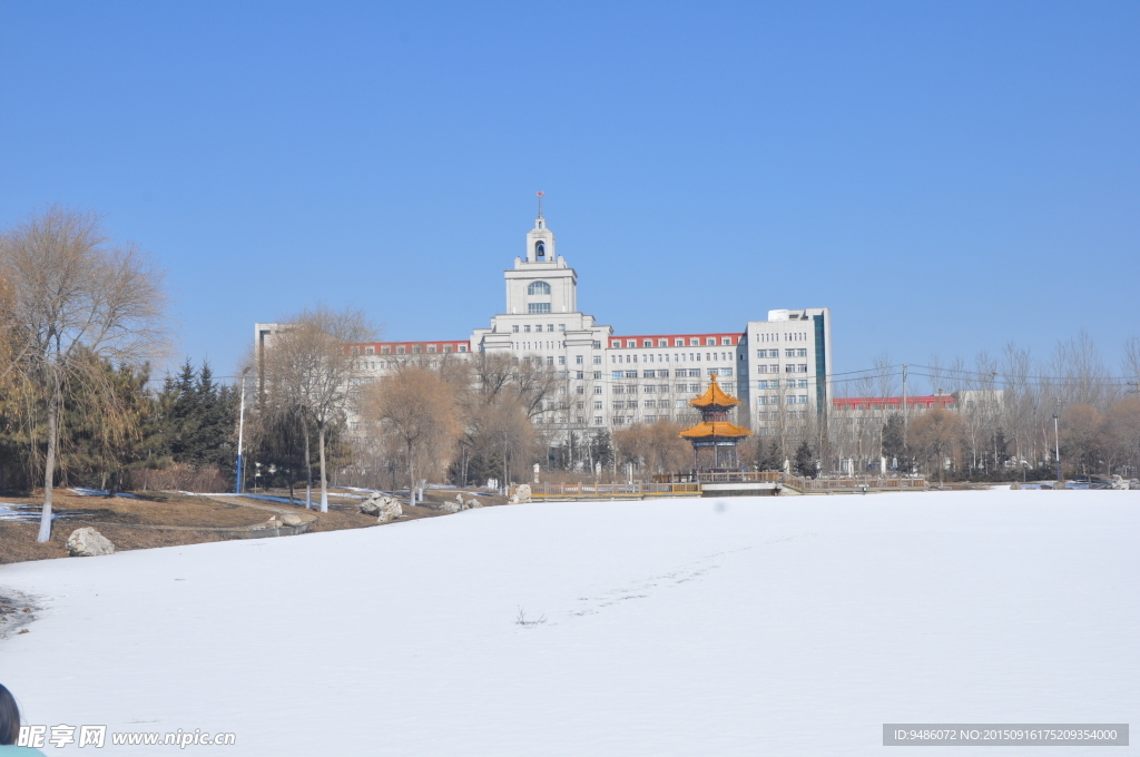 哈尔滨的雪
