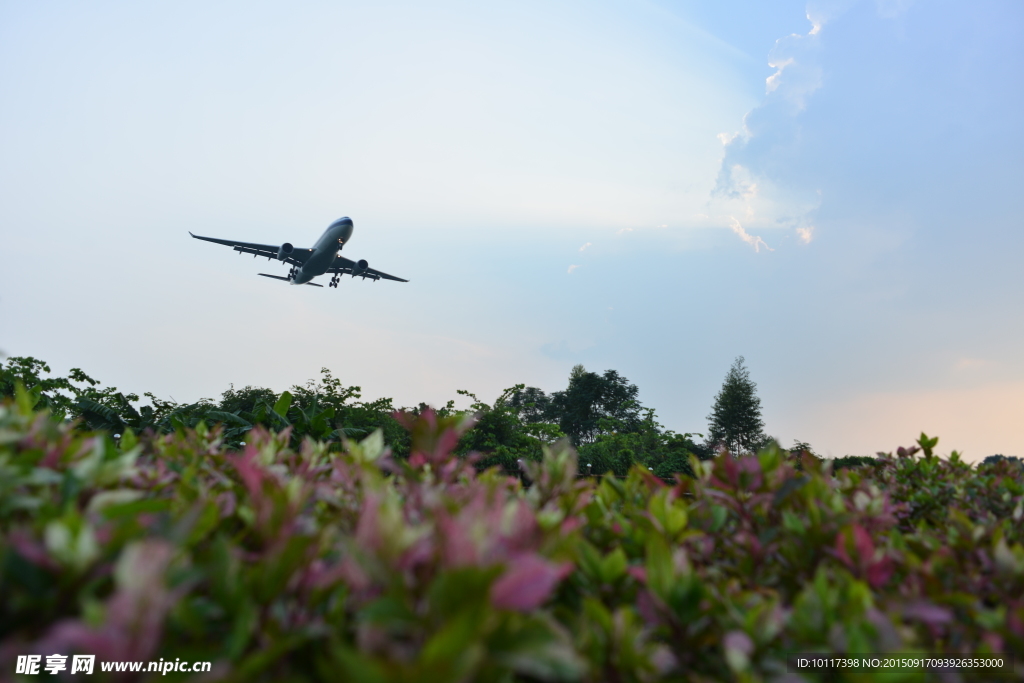 低空飞行 蓝天白云 草原飞机