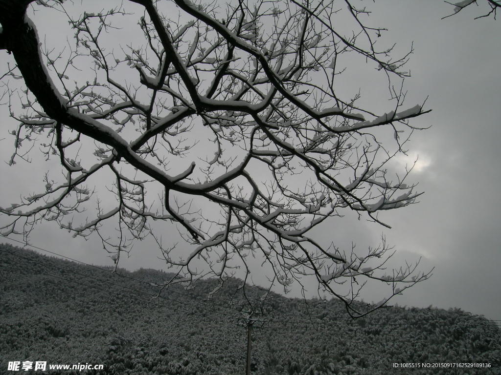 山村雪景1