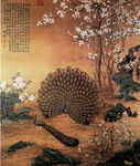 工笔画孔雀