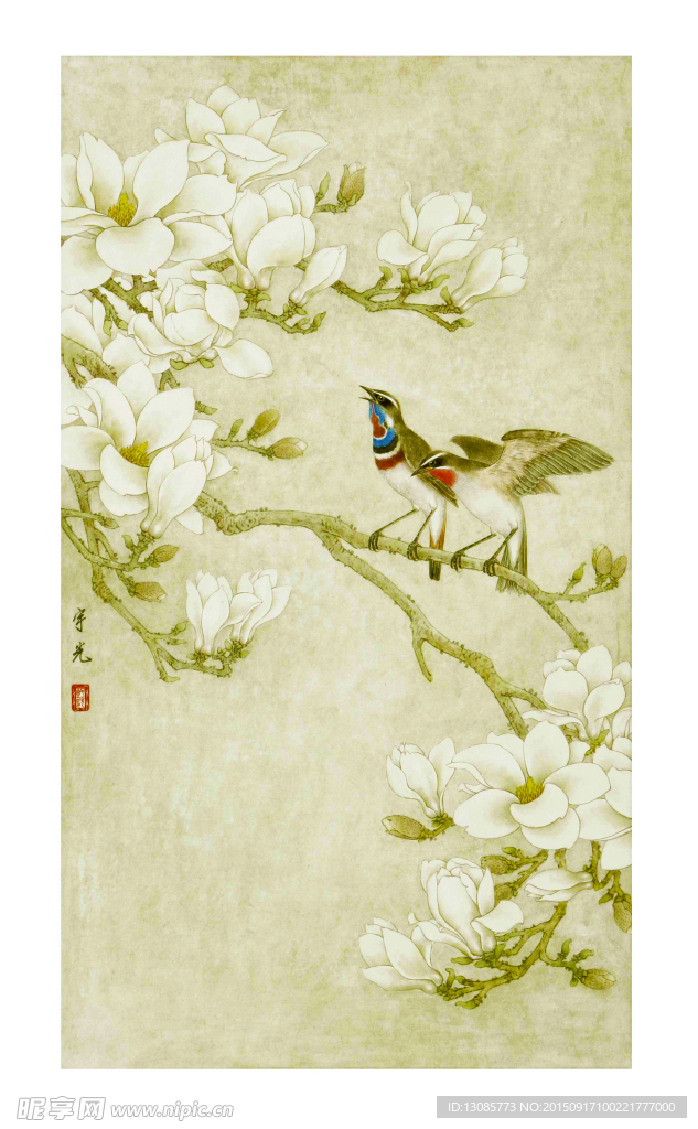 工笔画玉兰