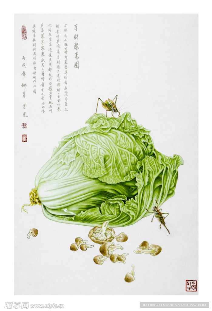 工笔画白菜