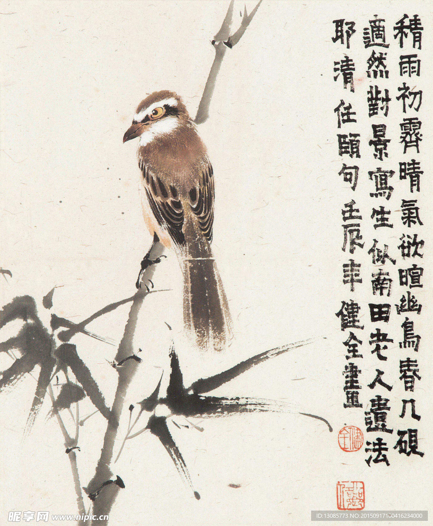 花鸟画