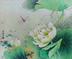 工笔画荷花