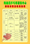 乒乓球宣传页反
