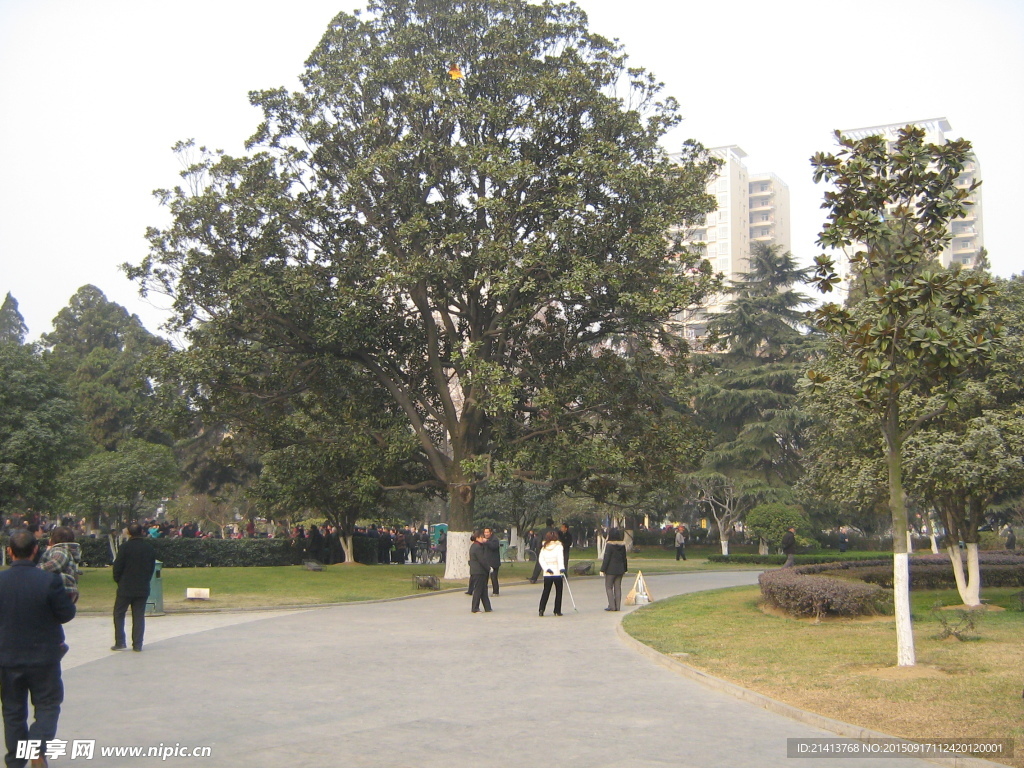 公园道路