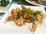 皮皮虾