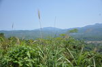 青山