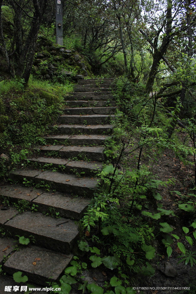 山间小路