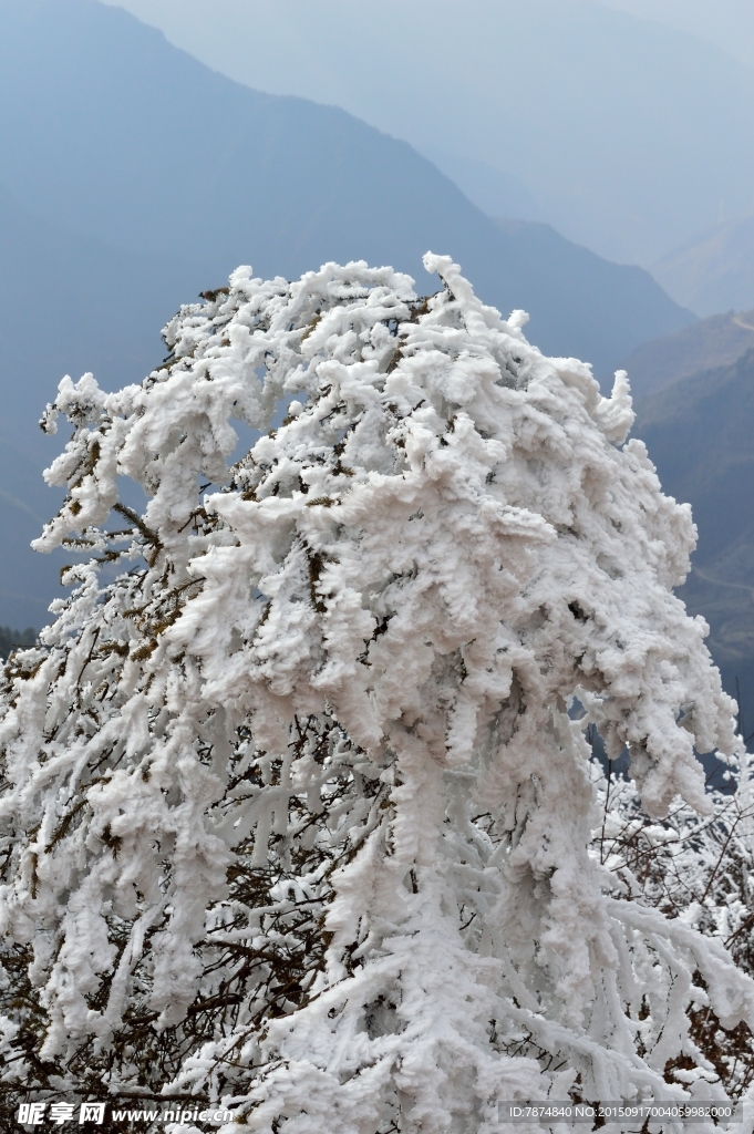 牛背山雪景