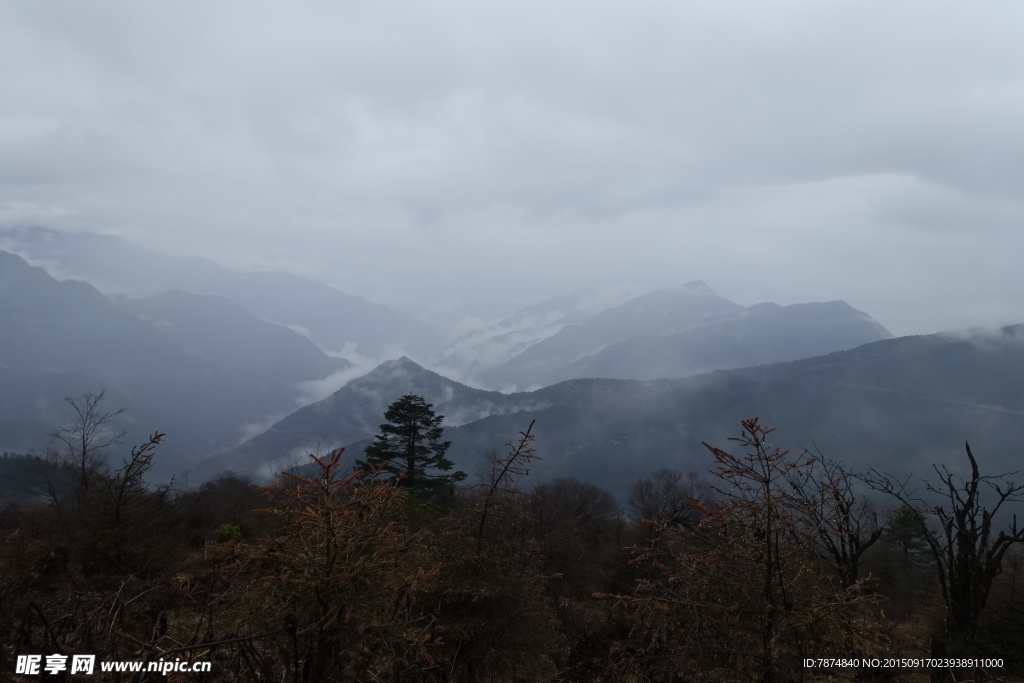 牛背山云海