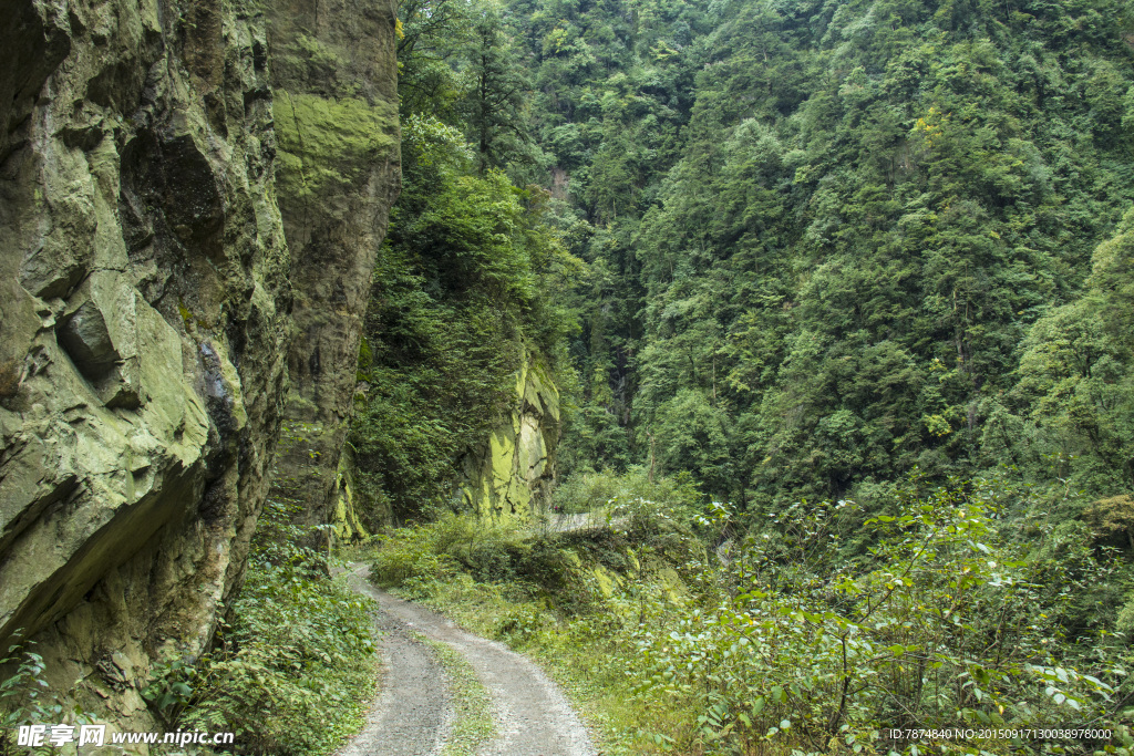 牛背山风光