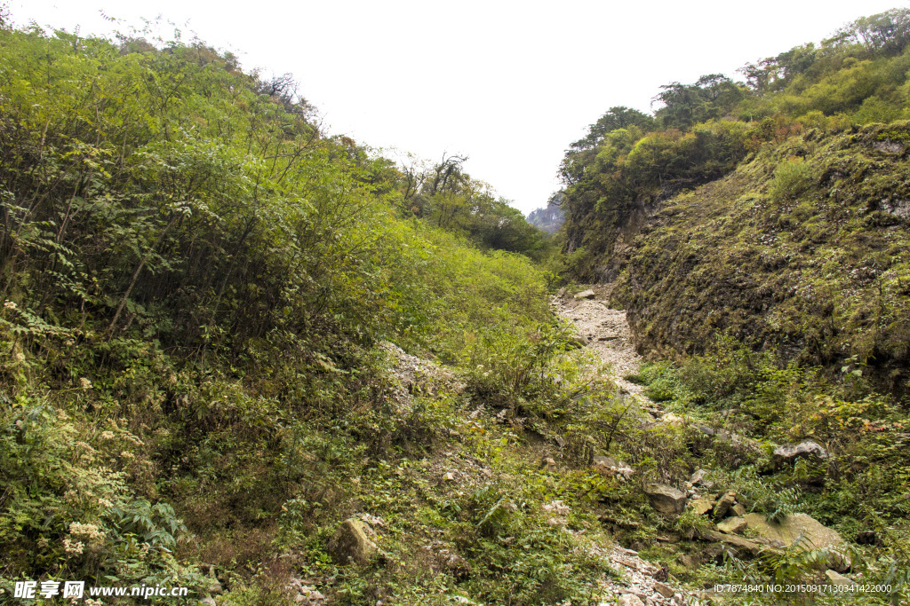 牛背山风光