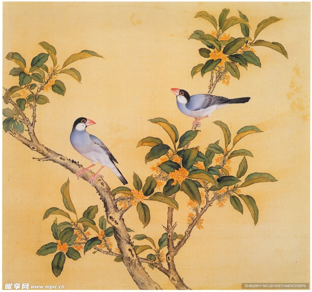 瑞红鸟 工笔花鸟