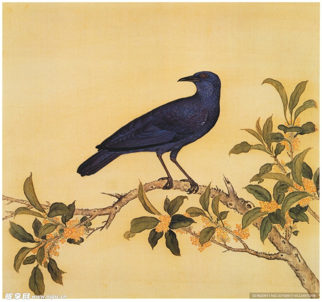 国画鸟