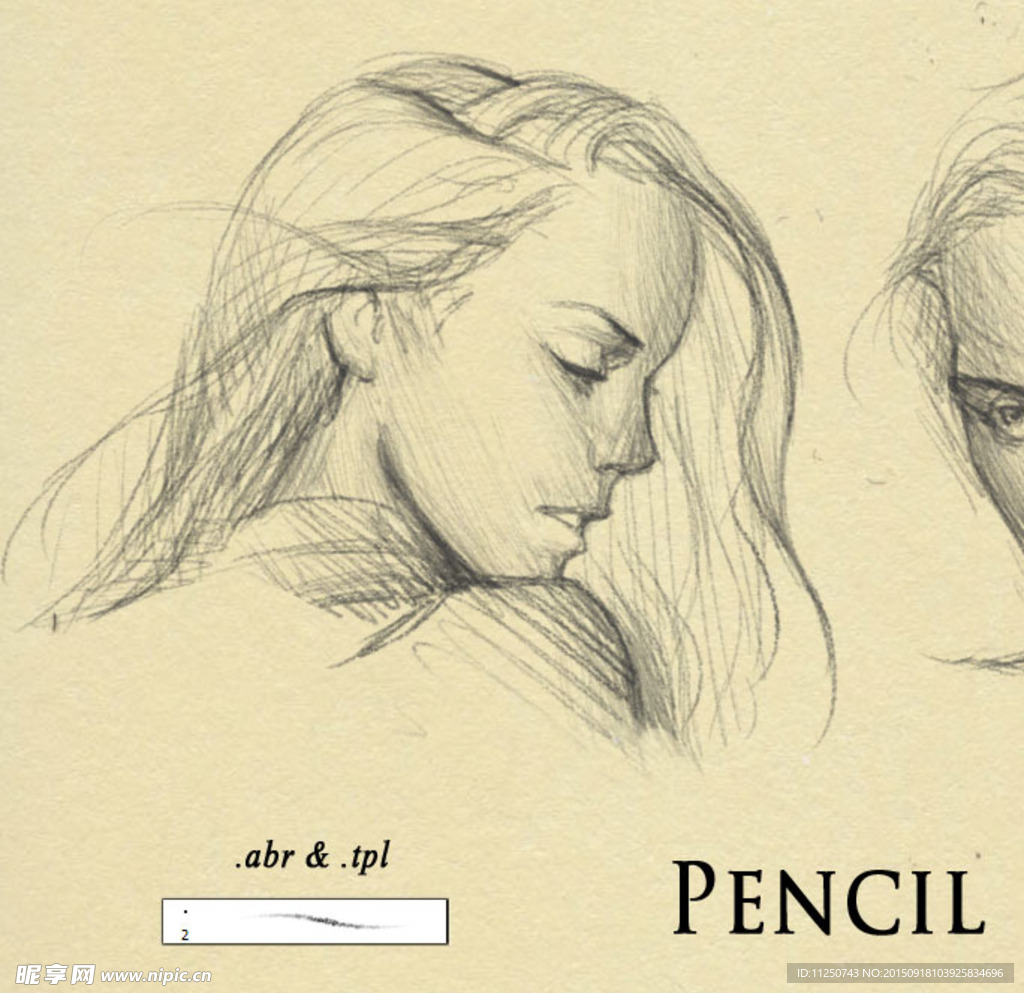 细致的铅笔素猫类笔触PS笔刷
