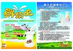 鲜奶吧DM