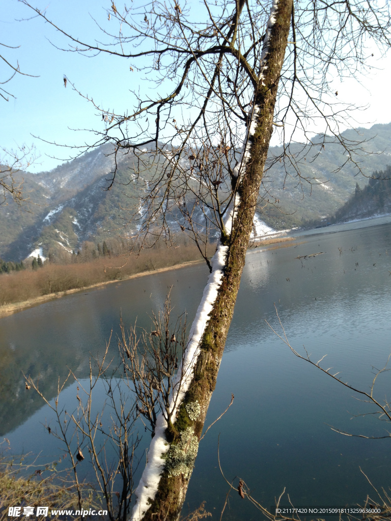 龙池雪景