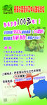 英语招生X展架