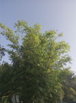 木兰古门风景区