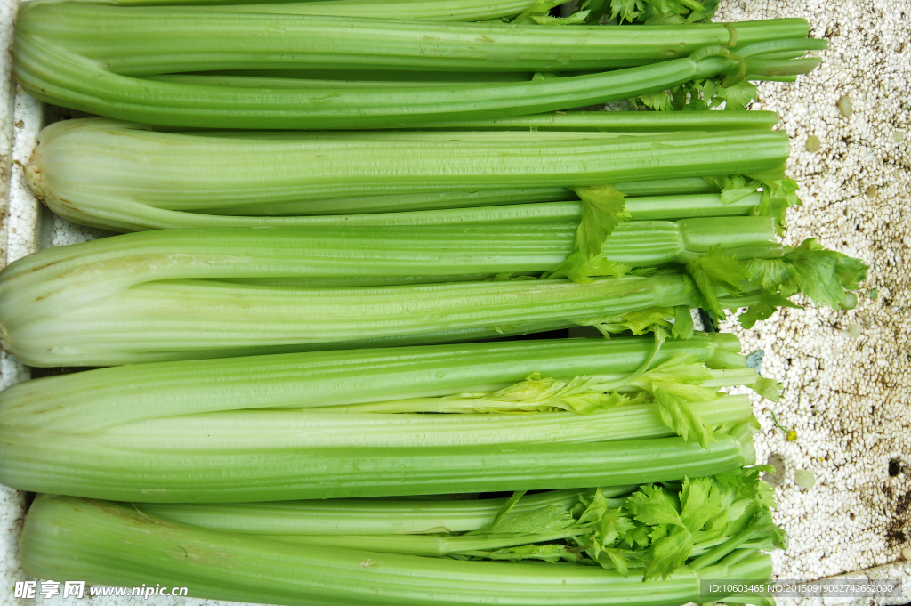 绿色蔬菜 西芹菜