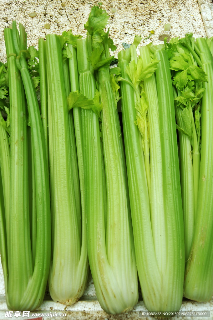 绿色蔬菜 西芹菜