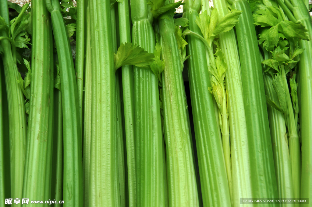 绿色蔬菜 西芹菜