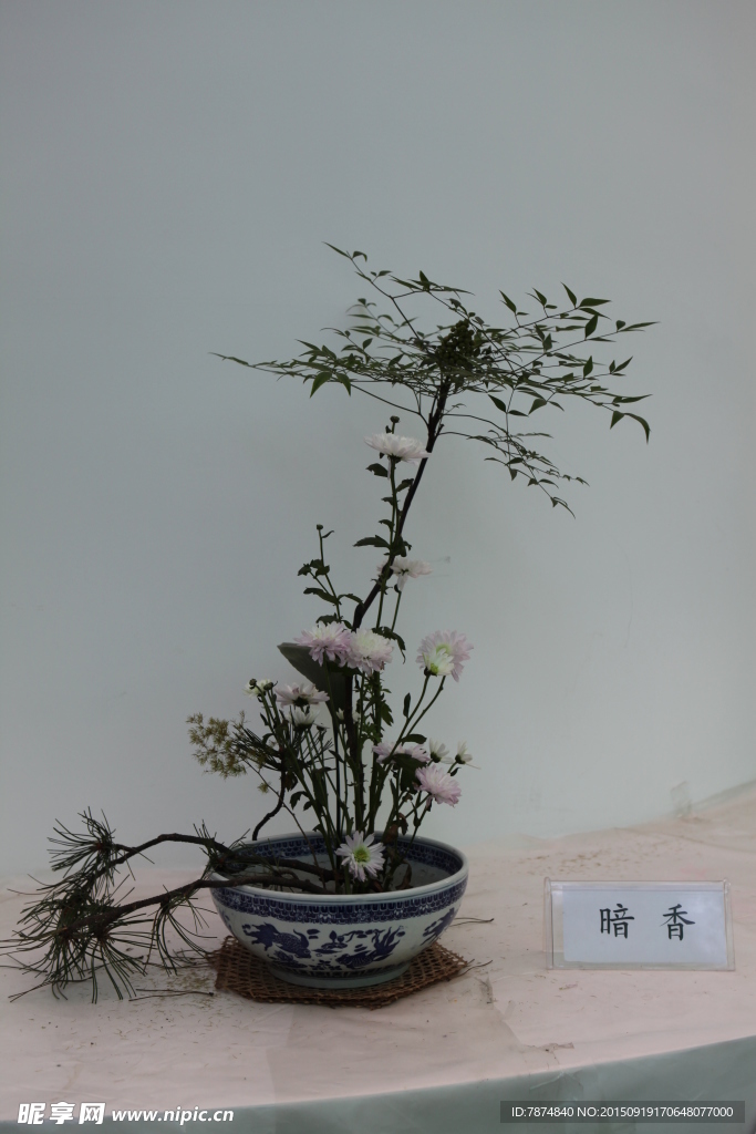 菊花