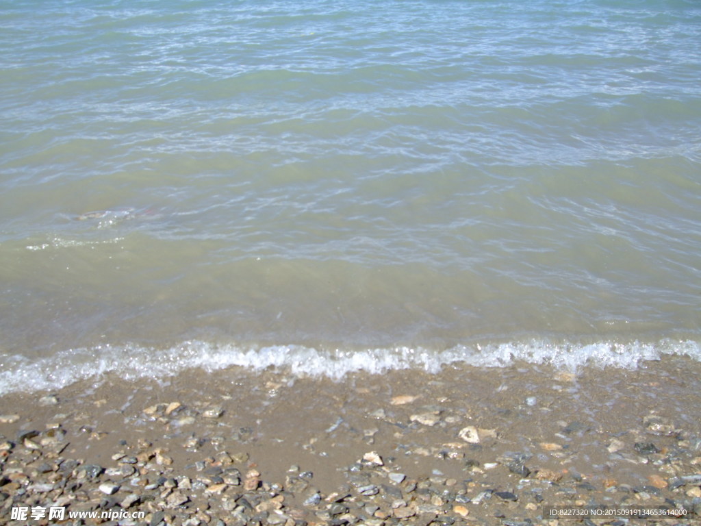 青海湖小浪花