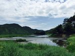 蓝天白云草地湖水