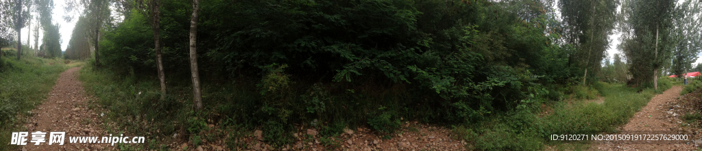 山间小路