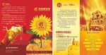 贝格富投机机构宣传折页