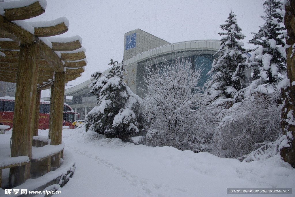 冬之雪