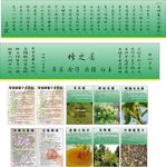 蜂蜜功效