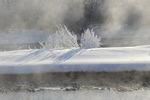 雪景
