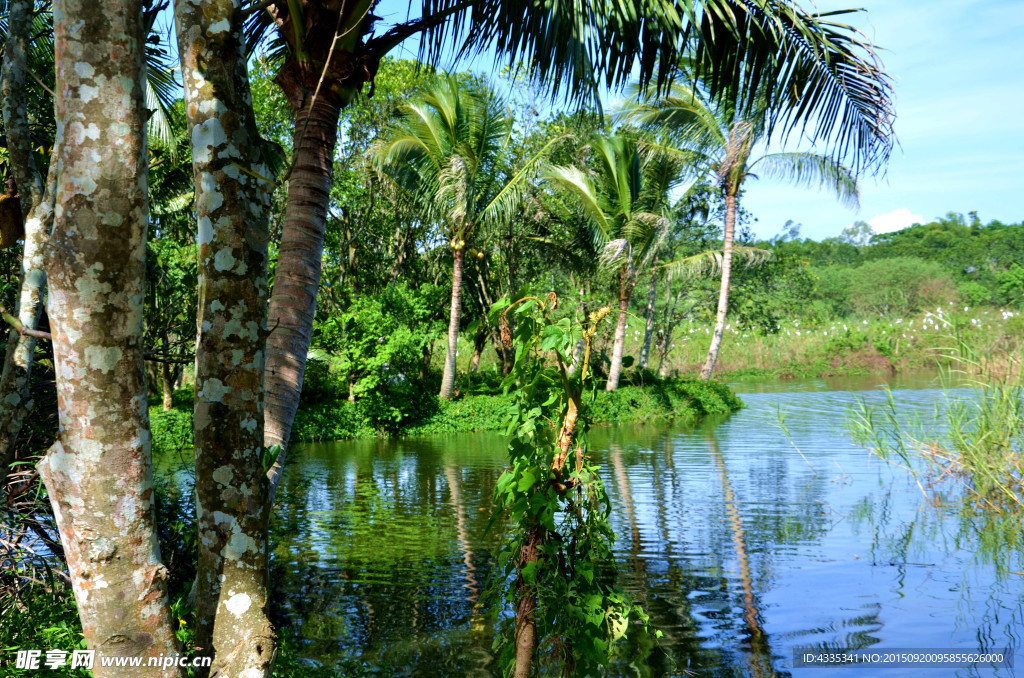 湖景