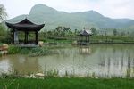 山青水秀