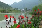 山青水秀