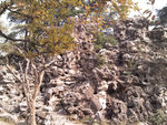一片假山