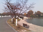 湖边