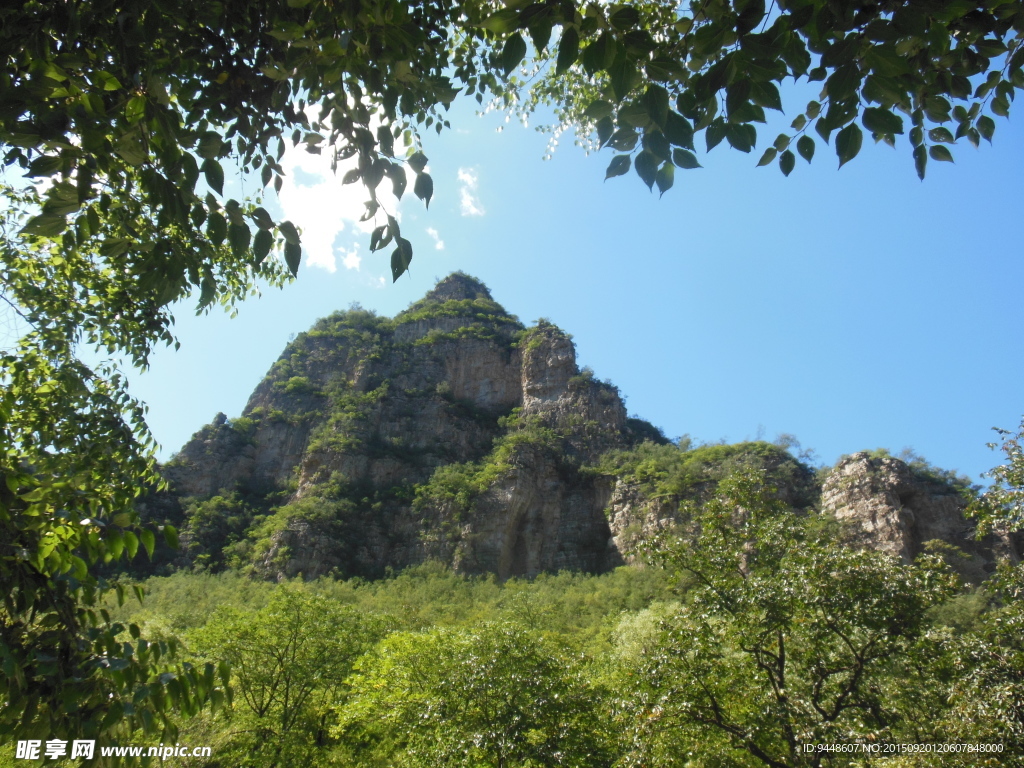 青山