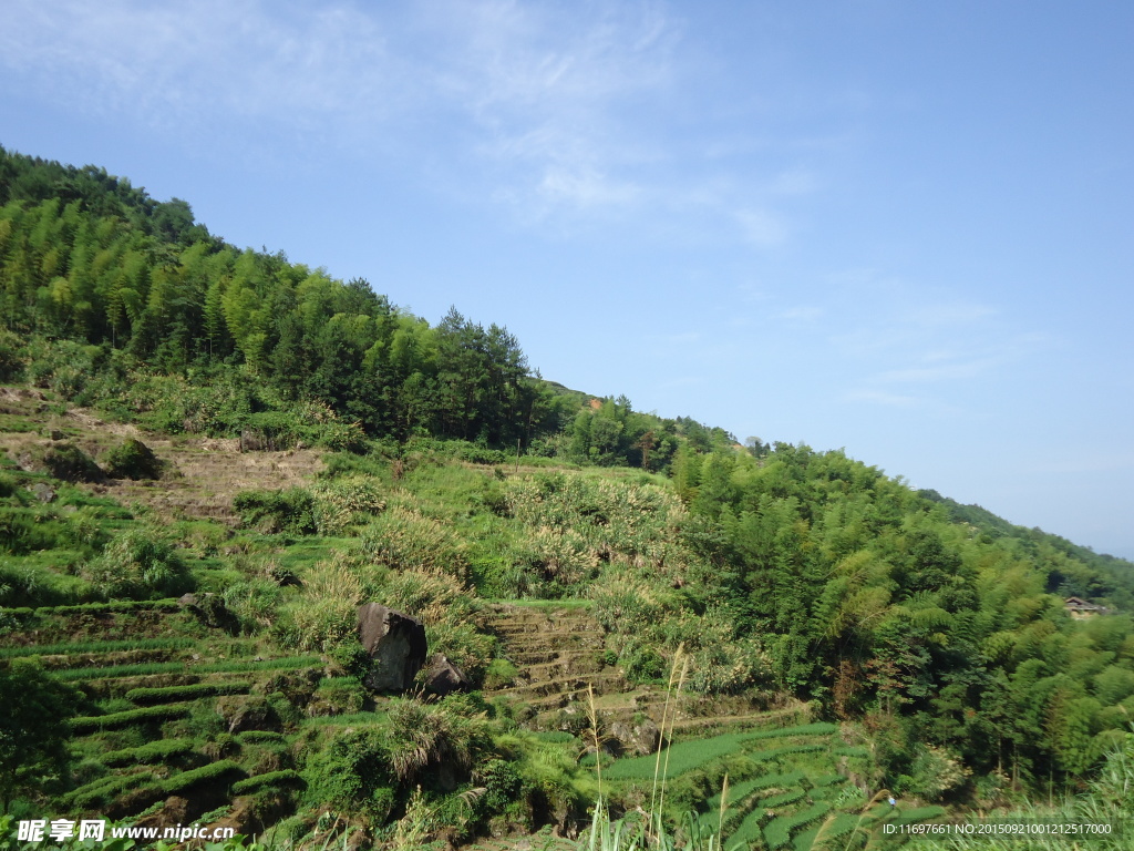 梯田