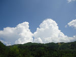 梯田