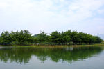 灵渠岸边风光