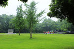 兴安秦文化广场草地