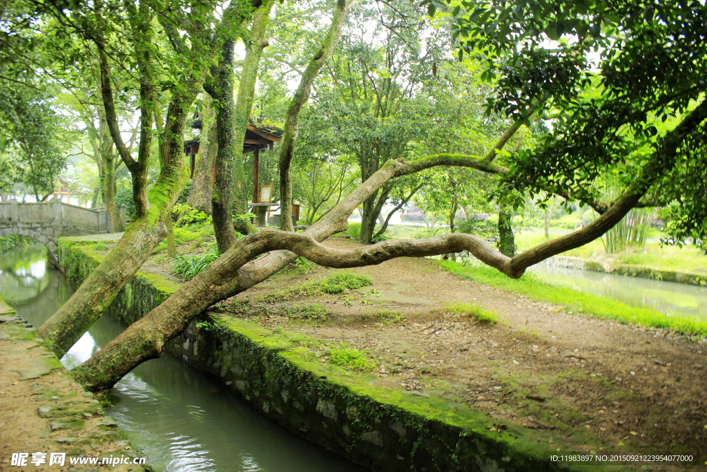 灵渠树木风景