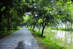 兴安灵渠石板路