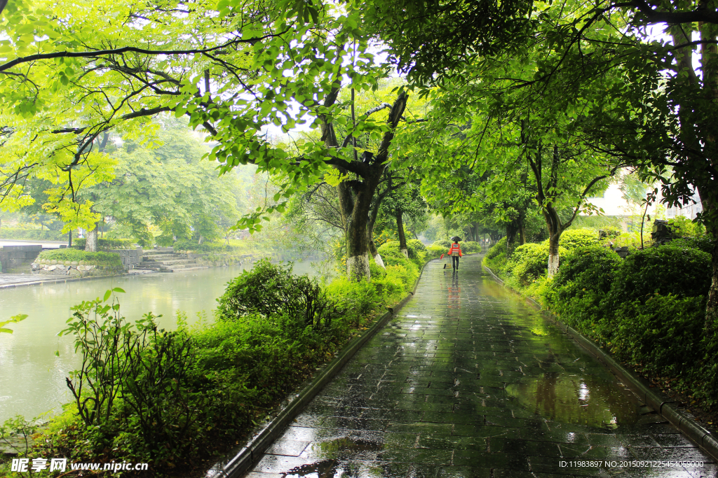 灵渠水街青石板路