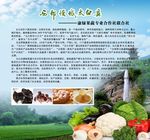 农业展板